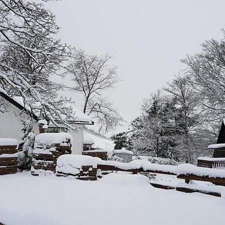 Villa Winterberg Mollseifen Екстер'єр фото